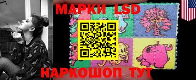 прущие крисы Гатчина