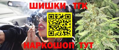 прущие крисы Гатчина