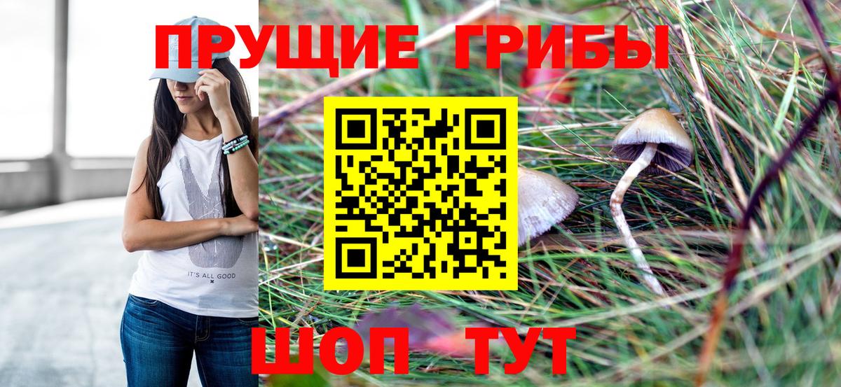 Галлюциногенные грибы мицелий Киселёвск