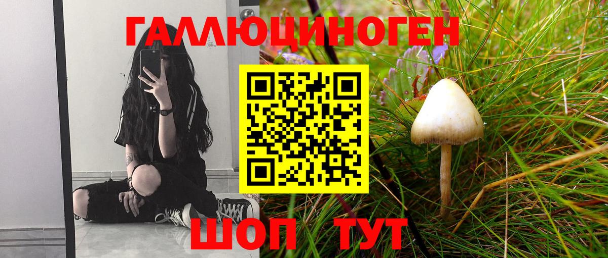 Киселёвск  Псилоцибиновые грибы MAGIC MUSHROOMS  Вход с VPN  Галлюциногенные грибы прущие грибы 